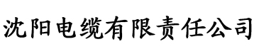 异界火影晓组织系统电缆厂logo